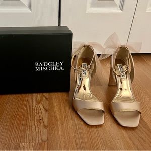 Badgley Mischka Kim Blush Mesh Block Heel